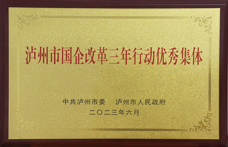 瀘州市國企改革三年行動(dòng)優(yōu)秀集體