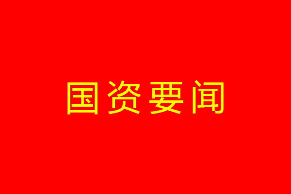 中共四川省國有資產(chǎn)監(jiān)督管理委員會委員會關于印發(fā)《黨員干部操辦婚喪喜慶事宜實施細則》的通知