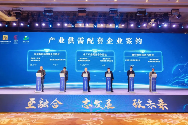 集團參加瀘永江產(chǎn)業(yè)協(xié)作推介會